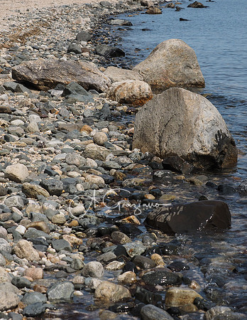 TR NWR Beach Grass Planting