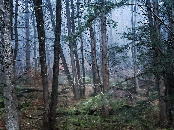 Catskills West
