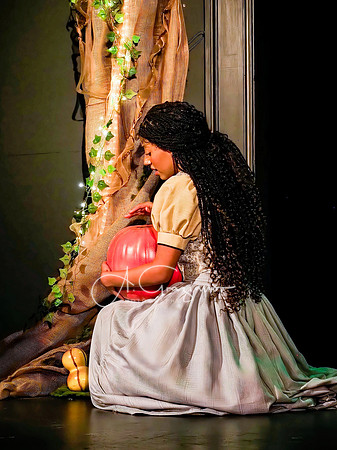 Cinderella 2024