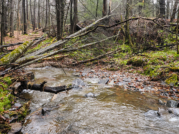 Catskills West