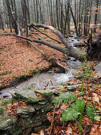Catskills West