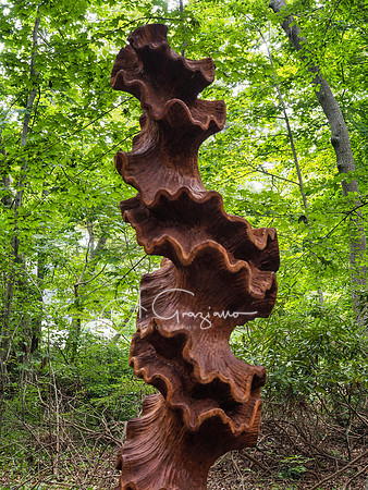 CEED Sculpture in the Garden 2023