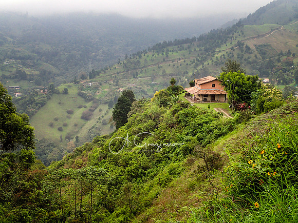 Colombia 2016
