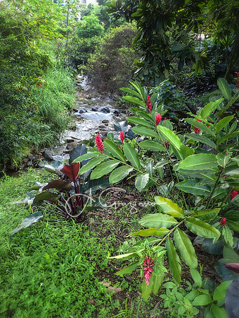 Colombia 2016
