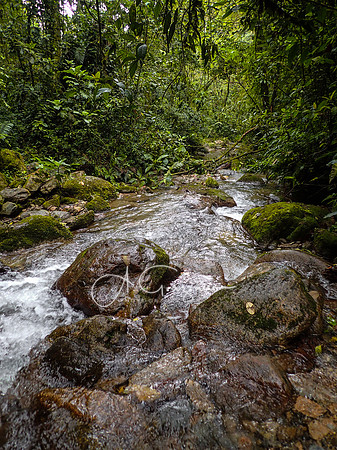 Colombia 2016