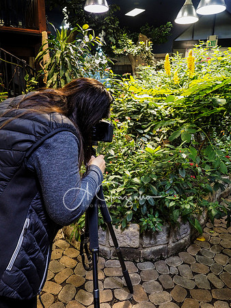 Butterfly Workshop at LI Aquarium
