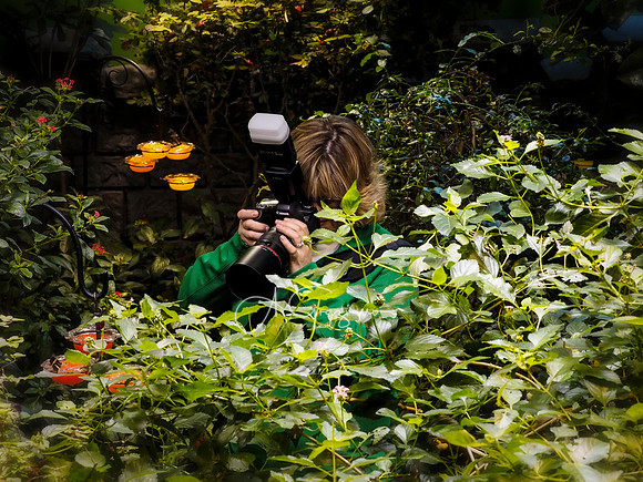 Butterfly Workshop at LI Aquarium