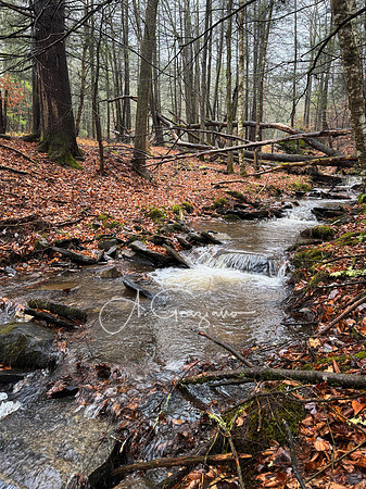 Catskills West