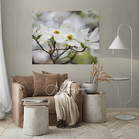 A. Graziano Photography