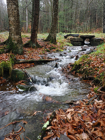 Catskills West