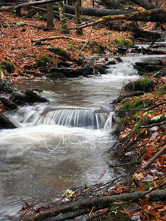 Catskills West