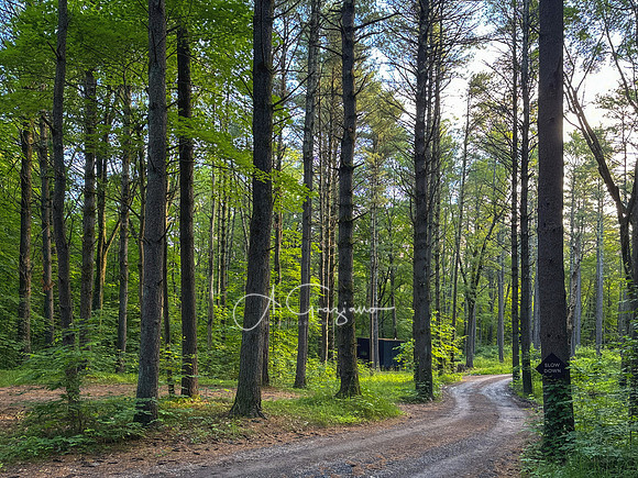Getaway - Catskills East 2024