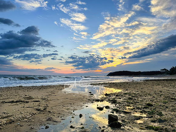 Fluid Therapy - Wading River Inlet