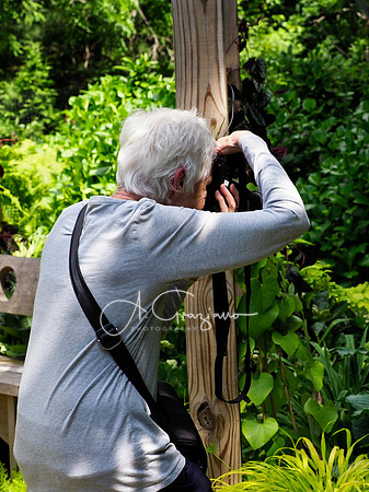 Landcraft Gardens Workshop 2024