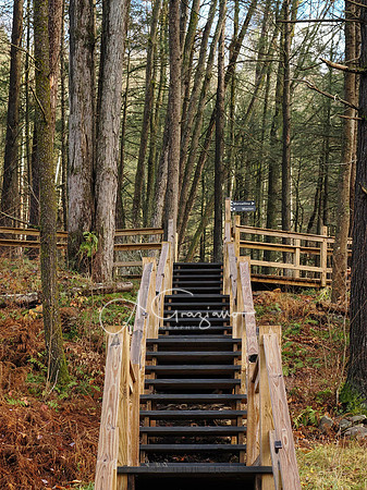 Catskills West