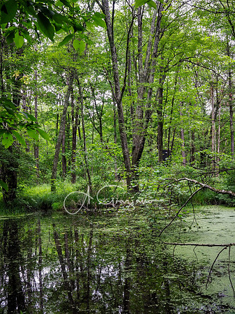 Getaway - Catskills East 2024