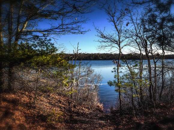 Wolf Swamp Preserve