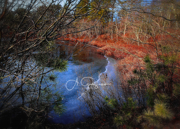 The Edge of Autumn