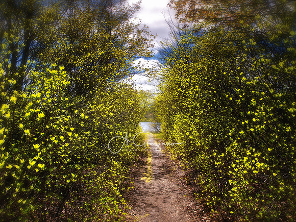 Calverton Ponds Preserve