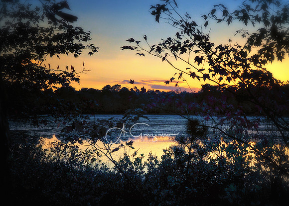 Calverton Ponds Preserve