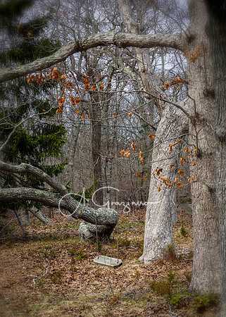 Pine Neck Nature Sanctuary