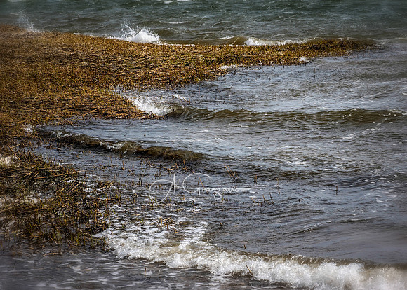Pine Neck Nature Sanctuary