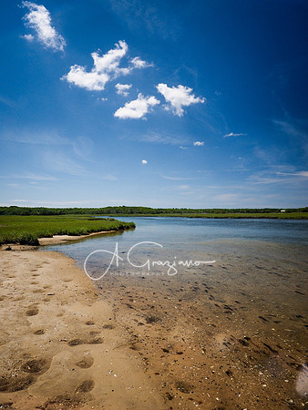 Scallop Pond Preserve