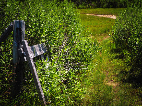 Merrill Lake Sanctuary