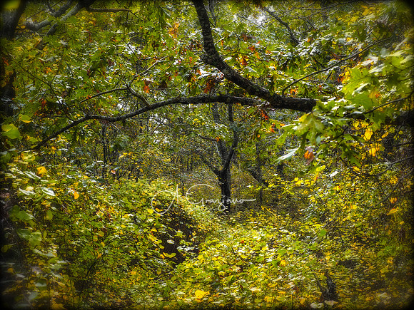 Montauk Mountain