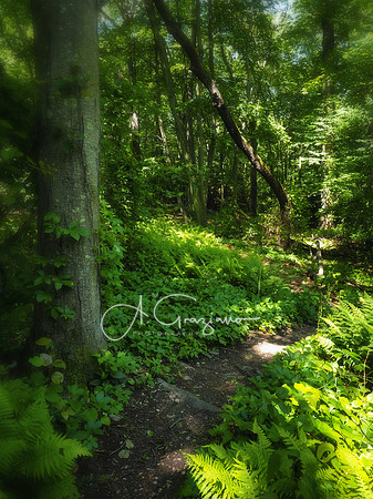 Uplands Farm Preserve