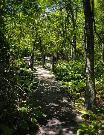 South Shore Nature Center - a.k.a. Orr Preserve, East Islip