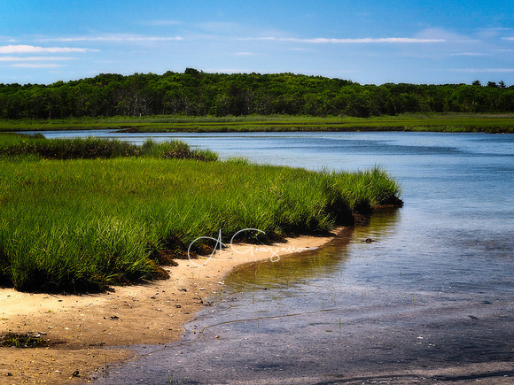 Scallop Pond Preserve