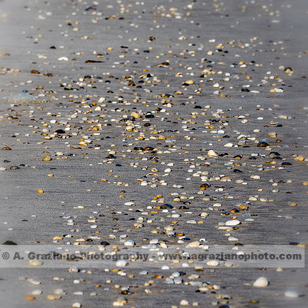 Pebble Beach
