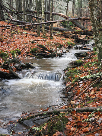 Catskills West