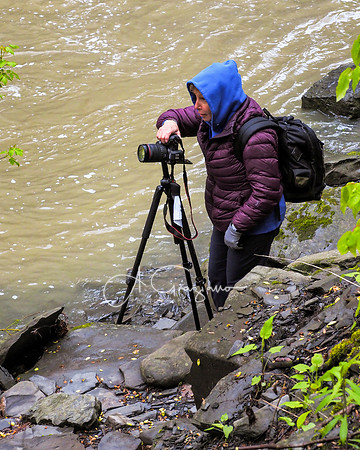 Waterfall Workshop 2021