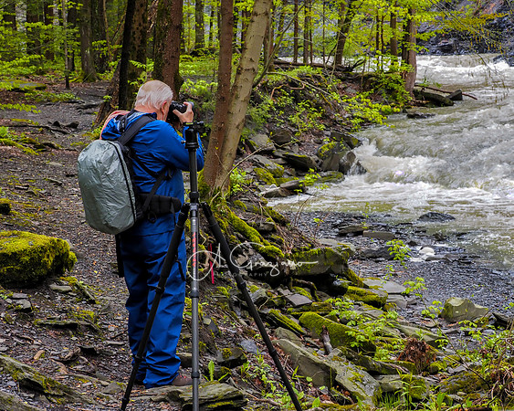 Waterfall Workshop 2021