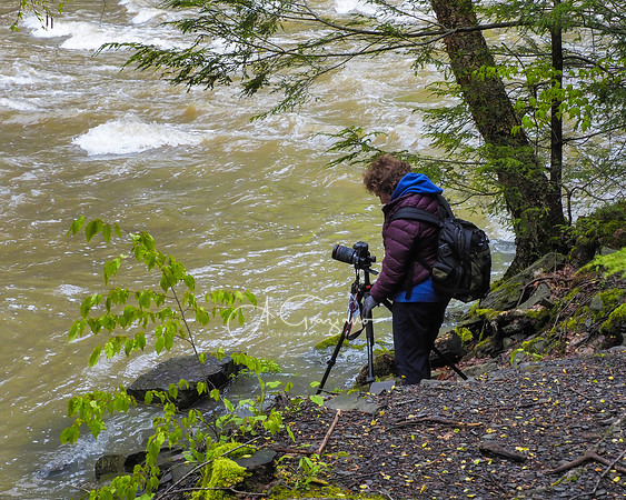 Waterfall Workshop 2021