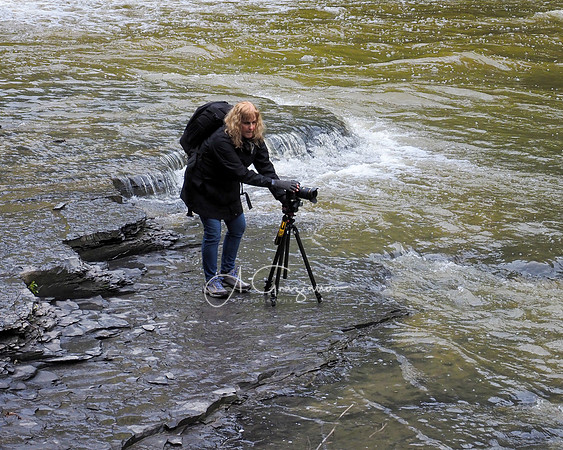 Waterfall Workshop 2021
