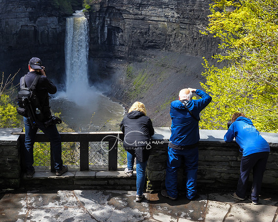 Waterfall Workshop 2021