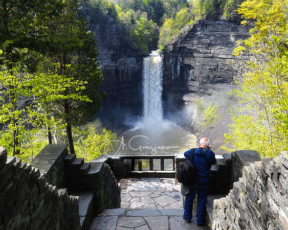 Waterfall Workshop 2021