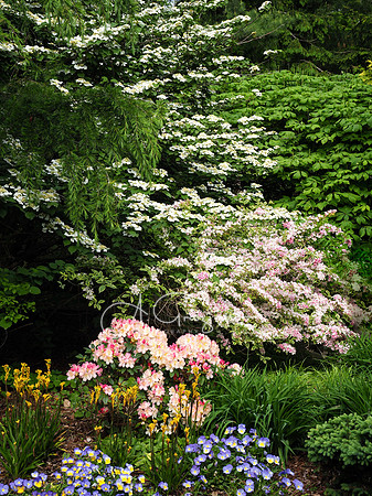 Landcraft Garden Foundation 2021