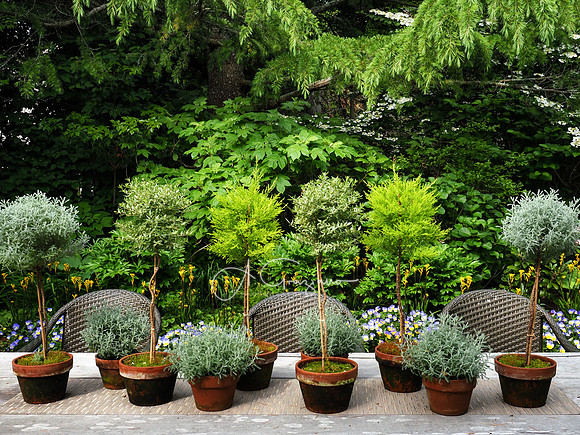 Landcraft Garden Foundation 2021