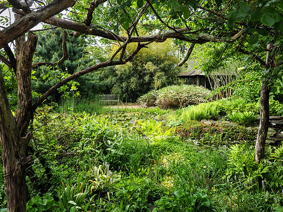 Landcraft Garden Foundation 2021