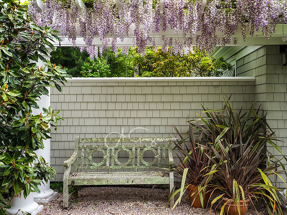 Landcraft Garden Foundation 2021