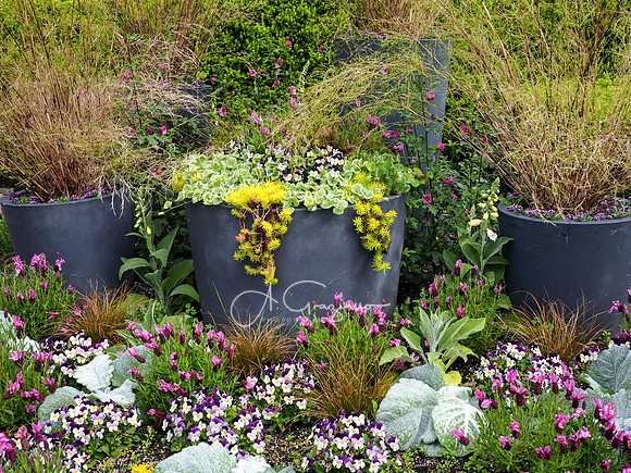 Landcraft Garden Foundation 2021