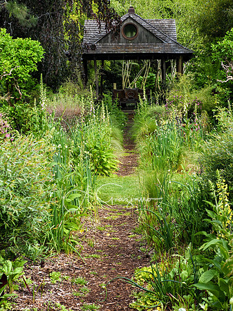 Landcraft Garden Foundation 2021