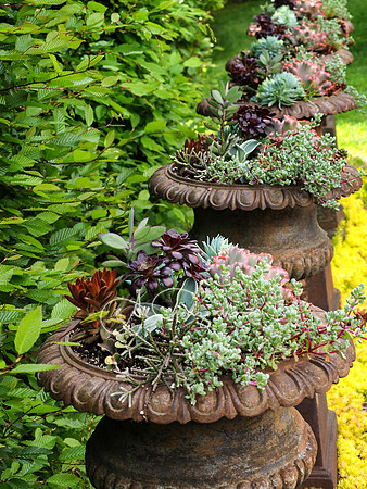 Landcraft Garden Foundation 2021