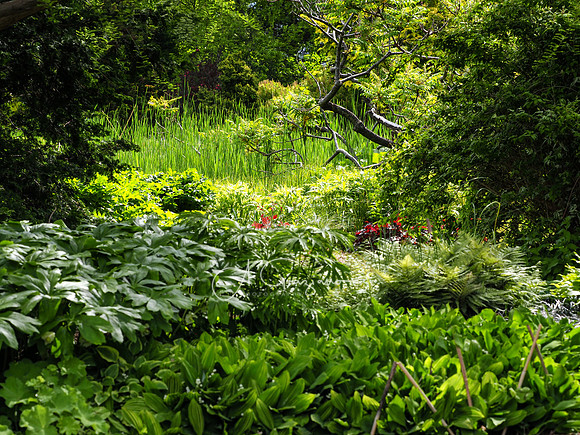 Landcraft Garden Foundation 2021