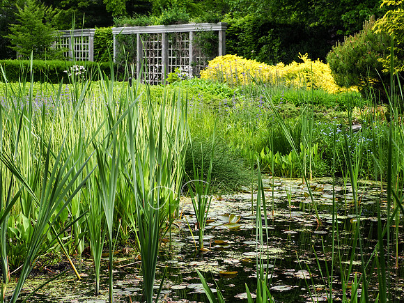 Landcraft Garden Foundation 2021