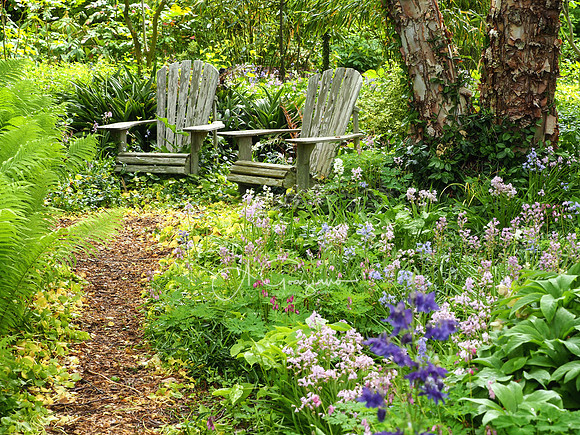 Landcraft Garden Foundation 2021